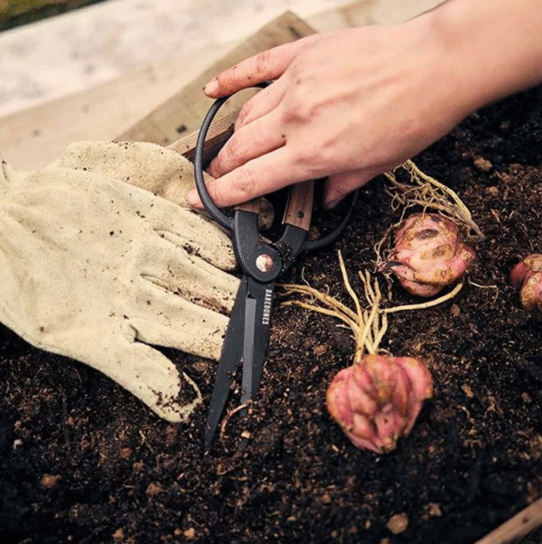 4127E1AF-ACA7-4C6B-87B6-8D895672141F