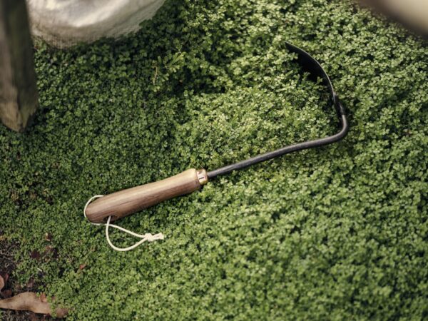 79D78B1A-E587-4FE1-A835-727C84DD2395