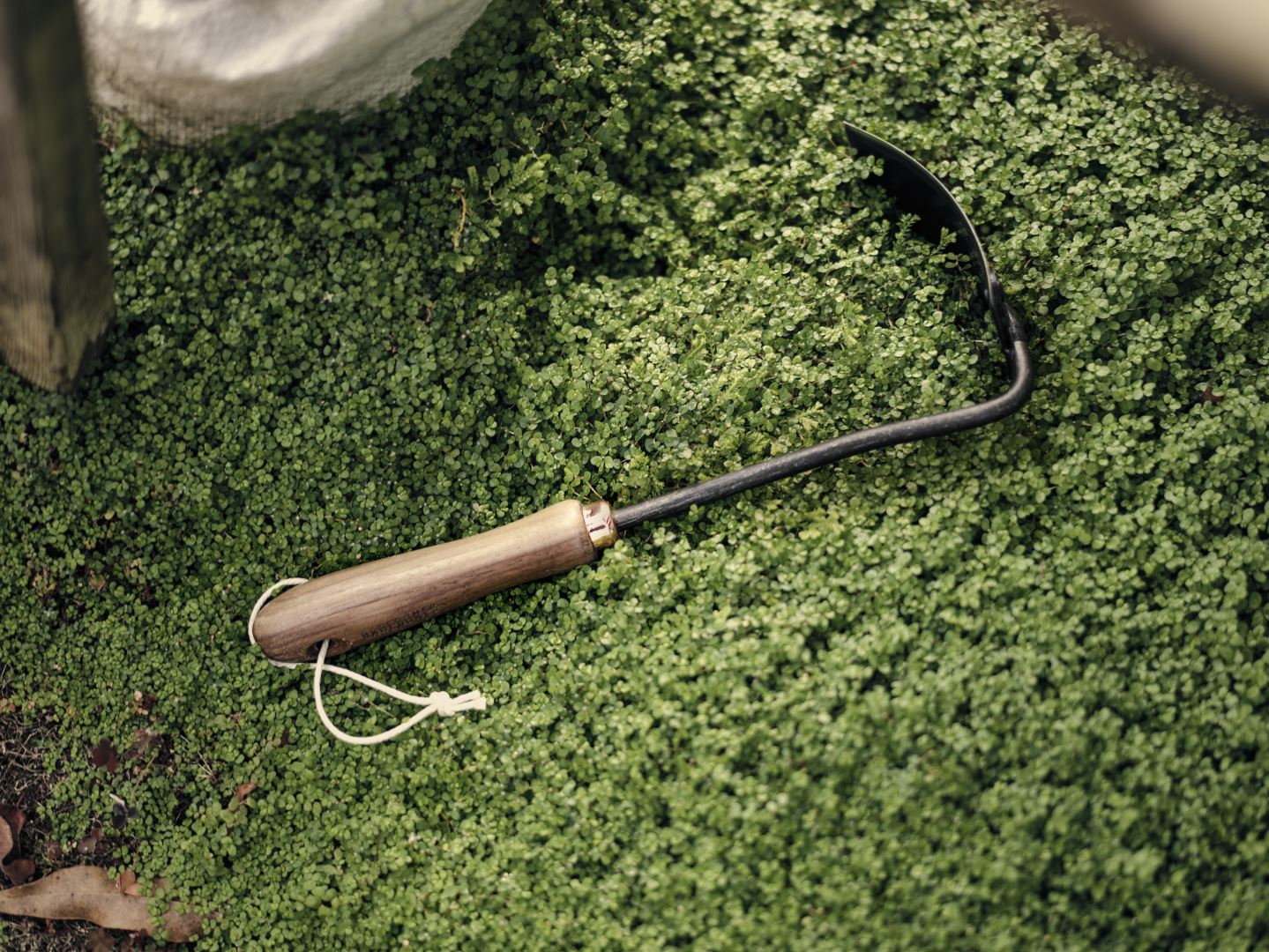 79D78B1A-E587-4FE1-A835-727C84DD2395