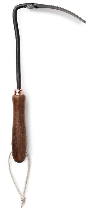 8194AE2B-7078-4CCF-9ED3-C3AF1868ECE5