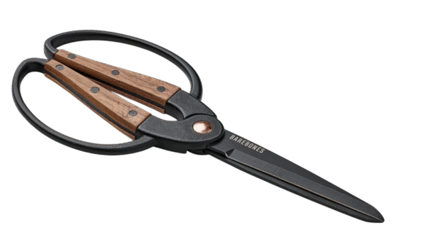 B6D04ABB-D79B-4D81-A009-7EA5C7E433CA