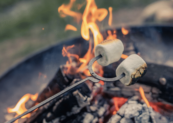 B962EFC2-BF87-4C4A-8ADB-D3FA0A6D1B1B