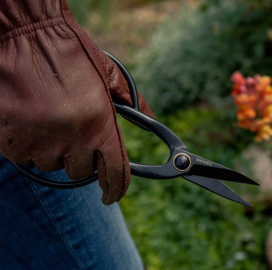 DB69DFE2-304C-40B0-883C-01D1036177FC